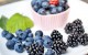 <center>Antioxidant-Rich Fruits and Vegetables<BR>You Should Be Eating</center>