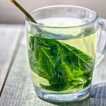 Green Tea Antioxidant